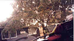 Namanga